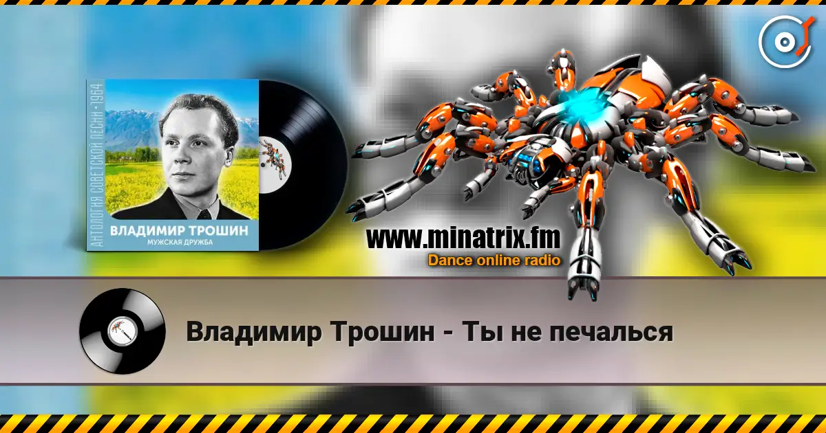 Владимир Трошин - Ты не печалься escuchar online en alta calidad | Minatrix.FM