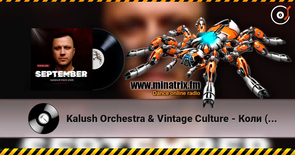 Kalush Orchestra & Vintage Culture - Коли (Ocean Dee Edit) escuchar online en alta calidad | Minatrix.FM