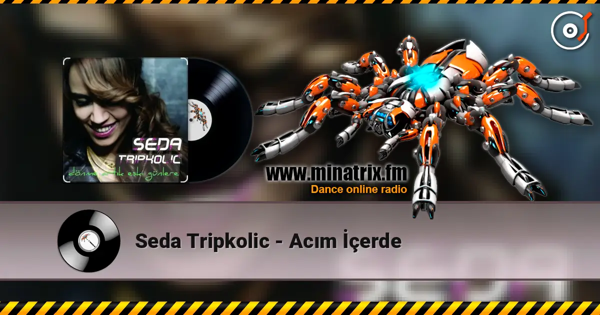 Seda Tripkolic - Acım İçerde escuchar online en alta calidad | Minatrix.FM