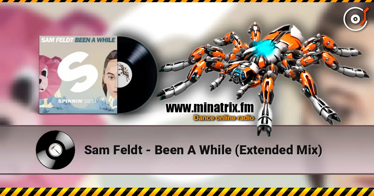Sam Feldt - Been A While (Extended Mix) escuchar online en alta calidad | Minatrix.FM