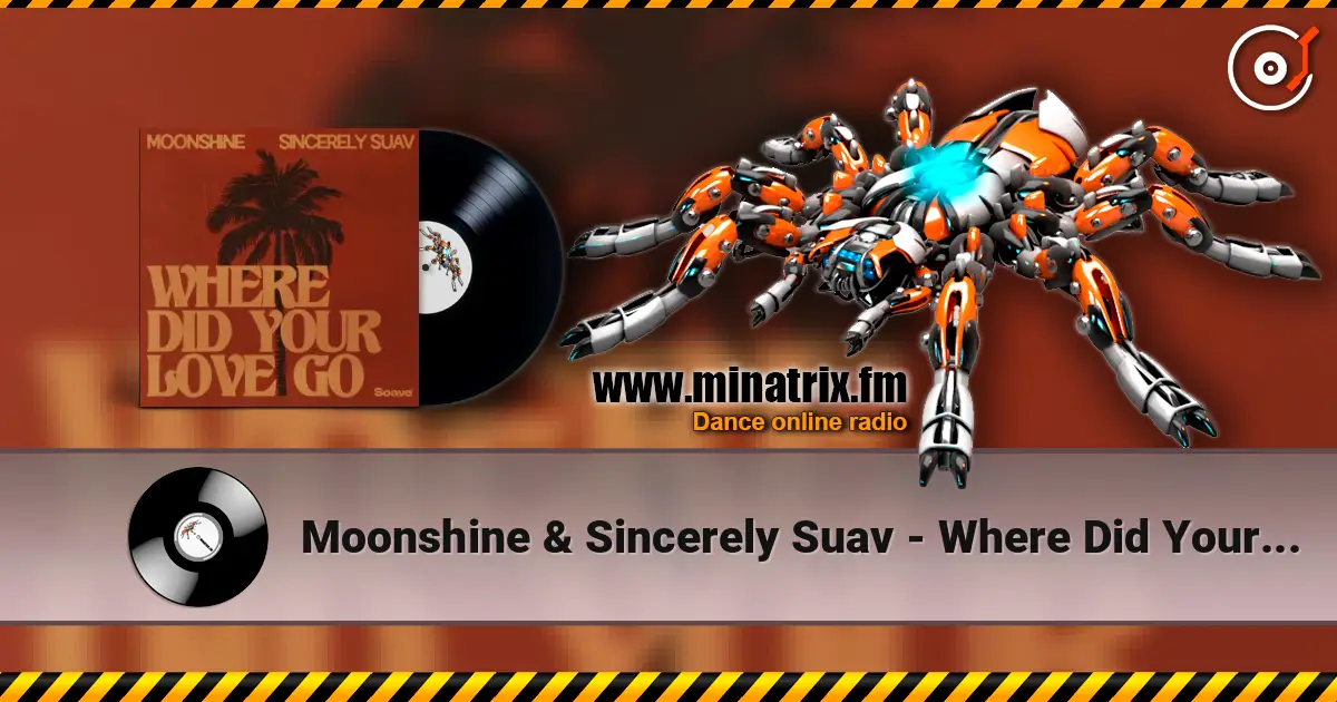 Moonshine & Sincerely Suav - Where Did Your Love Go escuchar online en alta calidad | Minatrix.FM