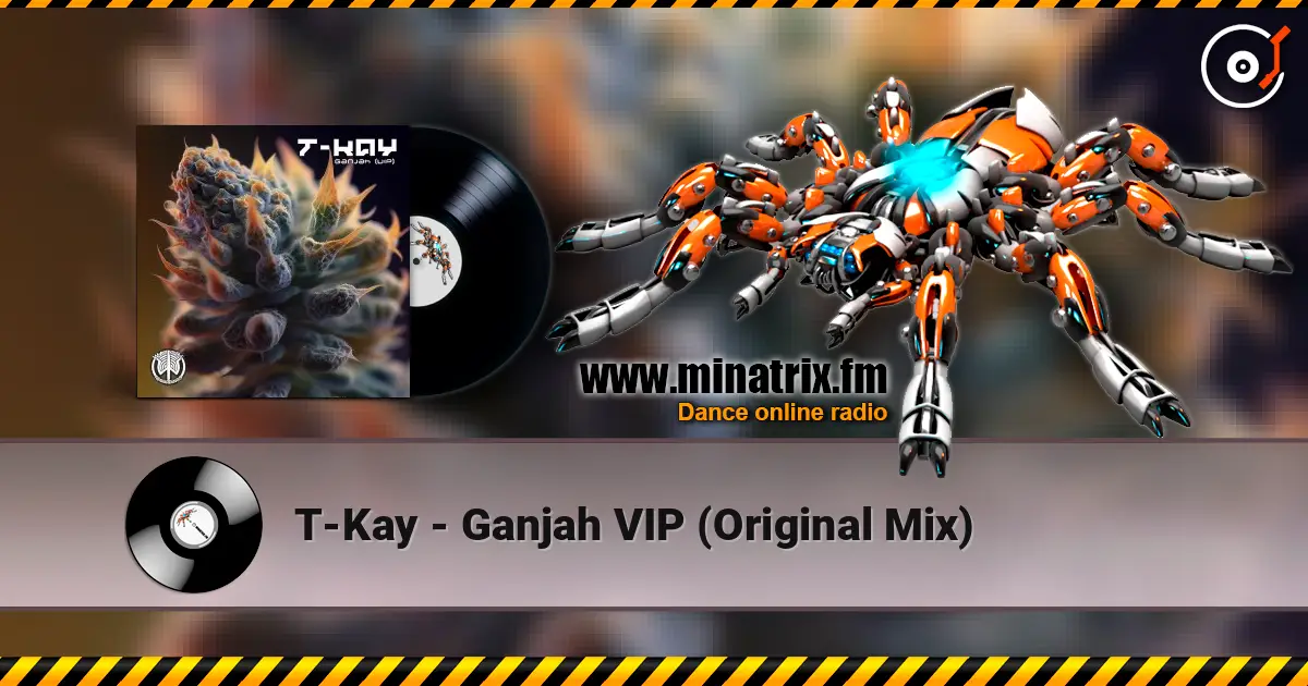 T-Kay - Ganjah VIP (Original Mix) escuchar online en alta calidad | Minatrix.FM