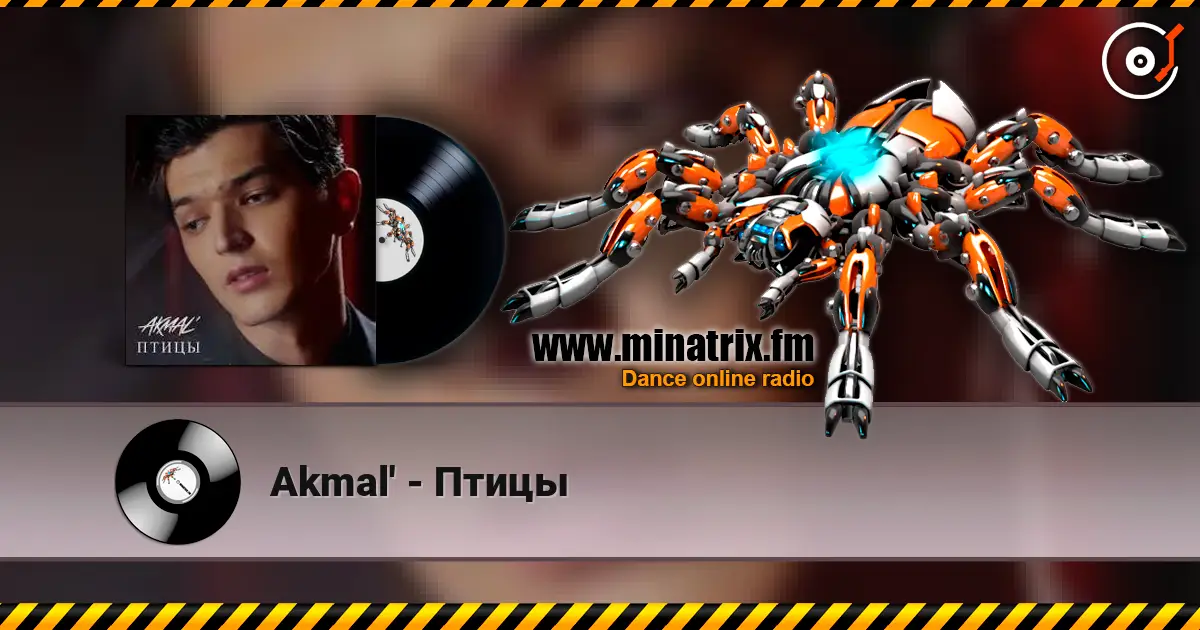 Akmal' - Птицы escuchar online en alta calidad | Minatrix.FM