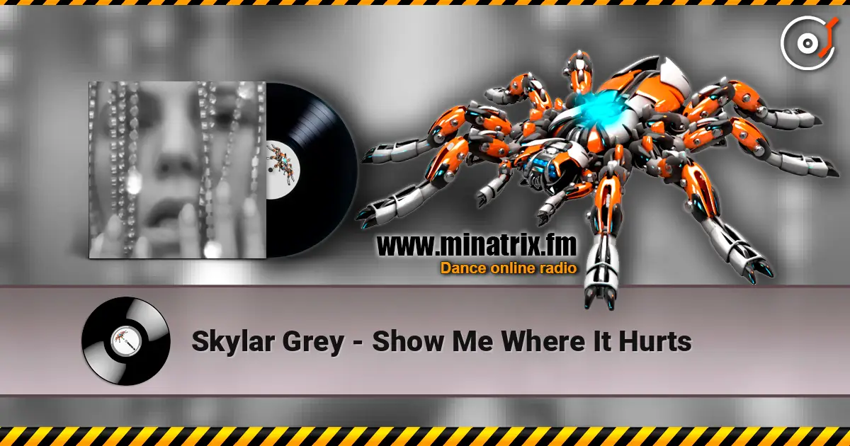 Skylar Grey - Show Me Where It Hurts escuchar online en alta calidad | Minatrix.FM
