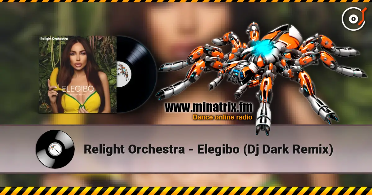Relight Orchestra - Elegibo (Dj Dark Remix) escuchar online en alta calidad | Minatrix.FM