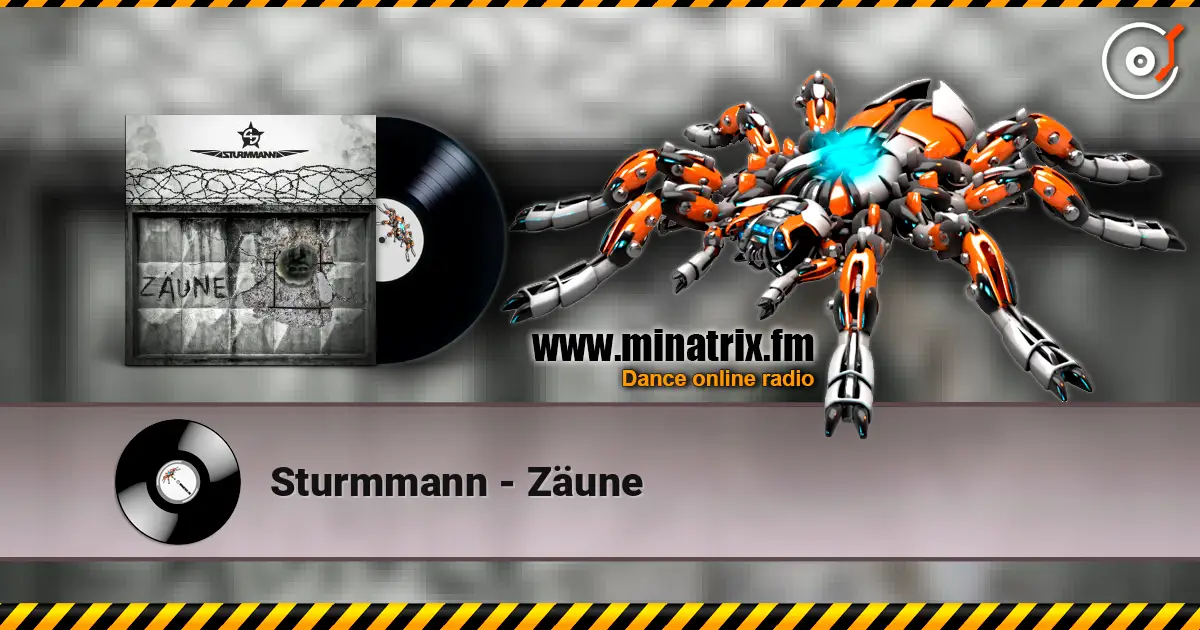 Sturmmann - Zäune escuchar online en alta calidad | Minatrix.FM