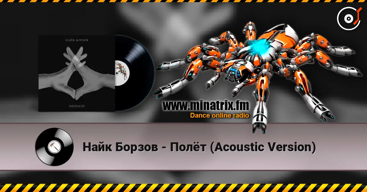 Найк Борзов - Полёт (Acoustic Version) escuchar online en alta calidad | Minatrix.FM