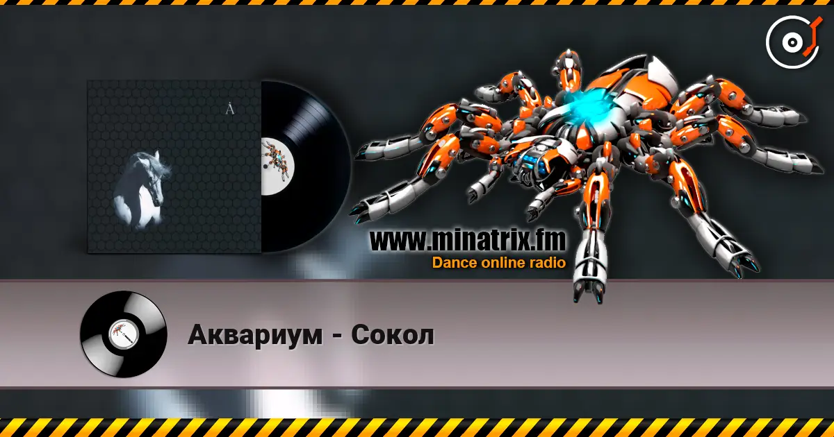 Аквариум - Сокол escuchar online en alta calidad | Minatrix.FM