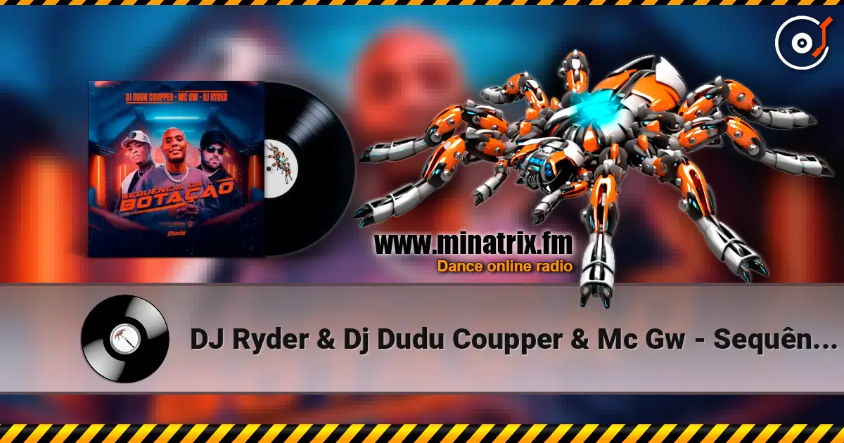 DJ Ryder & Dj Dudu Coupper & Mc Gw - Sequência da Botação escuchar online en alta calidad | Minatrix.FM