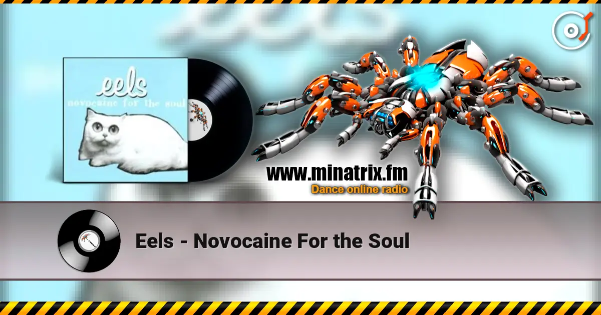 Eels - Novocaine For the Soul escuchar online en alta calidad | Minatrix.FM