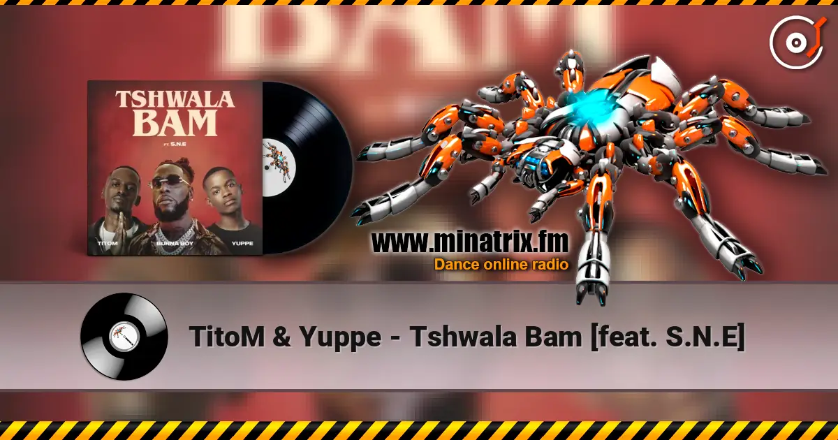 TitoM & Yuppe - Tshwala Bam [feat. S.N.E] escuchar online en alta calidad | Minatrix.FM