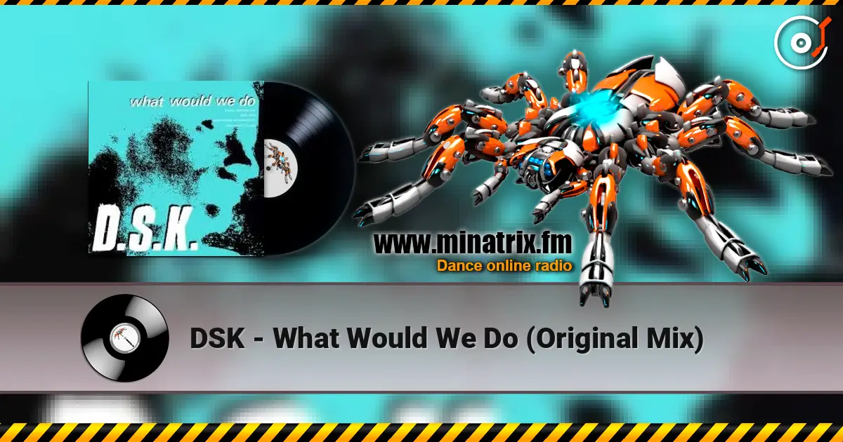 DSK - What Would We Do (Original Mix) escuchar online en alta calidad | Minatrix.FM