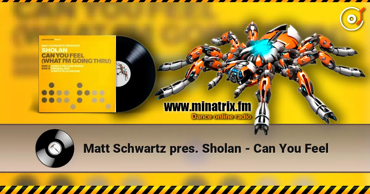 Matt Schwartz pres. Sholan - Can You Feel escuchar online en alta calidad | Minatrix.FM