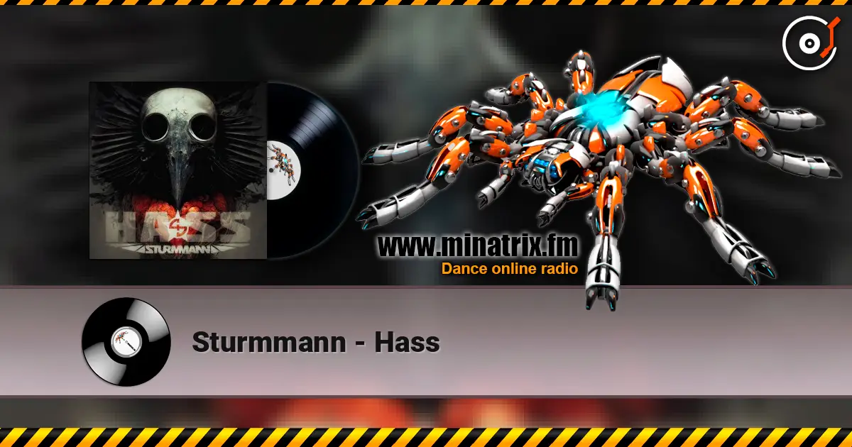 Sturmmann - Hass escuchar online en alta calidad | Minatrix.FM