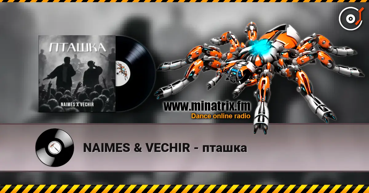 NAIMES & VECHIR - пташка escuchar online en alta calidad | Minatrix.FM