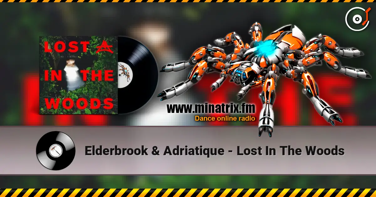 Elderbrook & Adriatique - Lost In The Woods escuchar online en alta calidad | Minatrix.FM