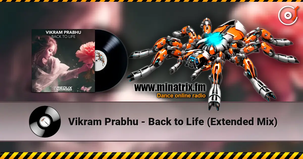 Vikram Prabhu - Back to Life (Extended Mix) escuchar online en alta calidad | Minatrix.FM