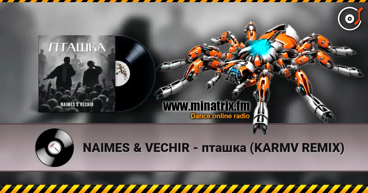 NAIMES & VECHIR - пташка (KARMV REMIX) escuchar online en alta calidad | Minatrix.FM
