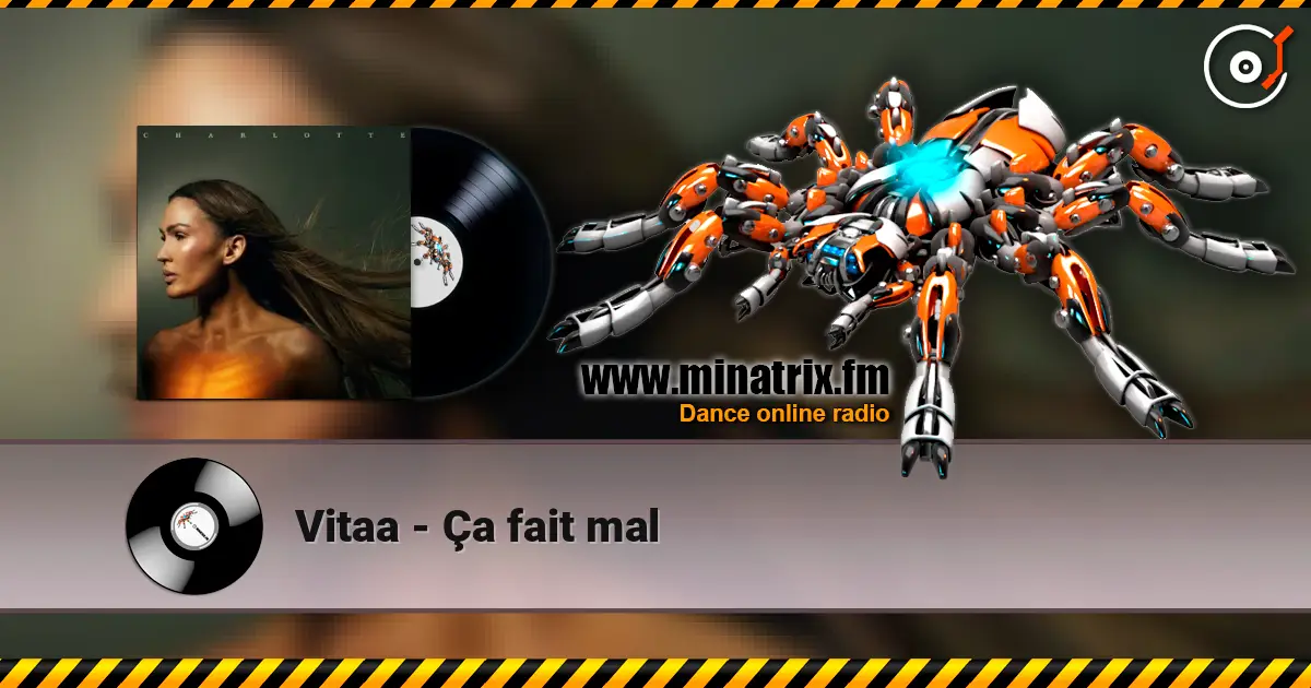 Vitaa - Ça fait mal escuchar online en alta calidad | Minatrix.FM