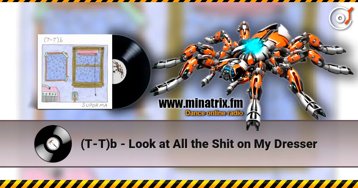 (T-T)b - Look at All the Shit on My Dresser escuchar online en alta calidad | Minatrix.FM