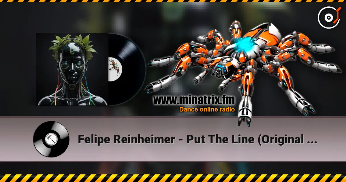 Felipe Reinheimer - Put The Line (Original Mix) escuchar online en alta calidad | Minatrix.FM