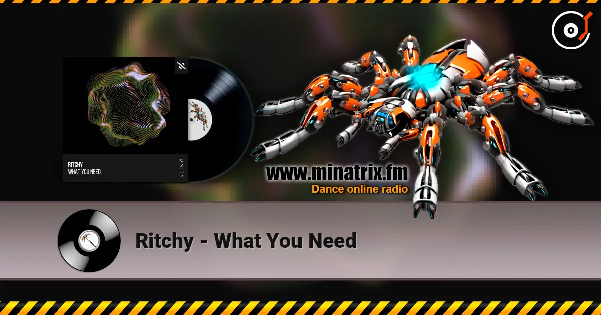 Ritchy - What You Need escuchar online en alta calidad | Minatrix.FM