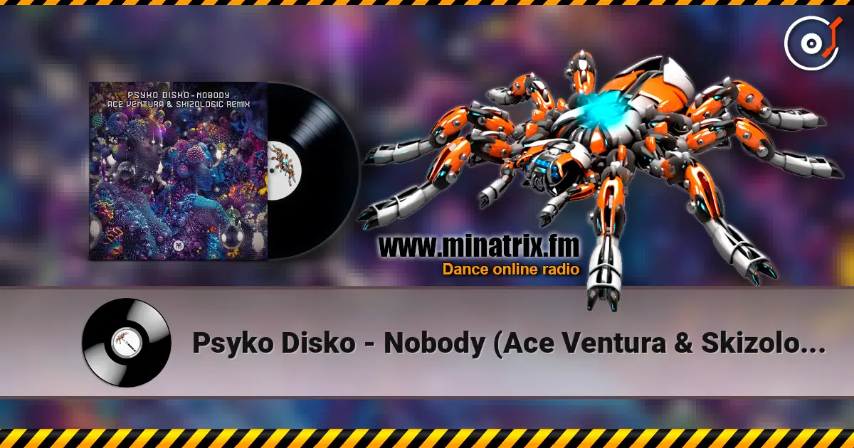 Psyko Disko - Nobody (Ace Ventura & Skizologic Remix) escuchar online en alta calidad | Minatrix.FM