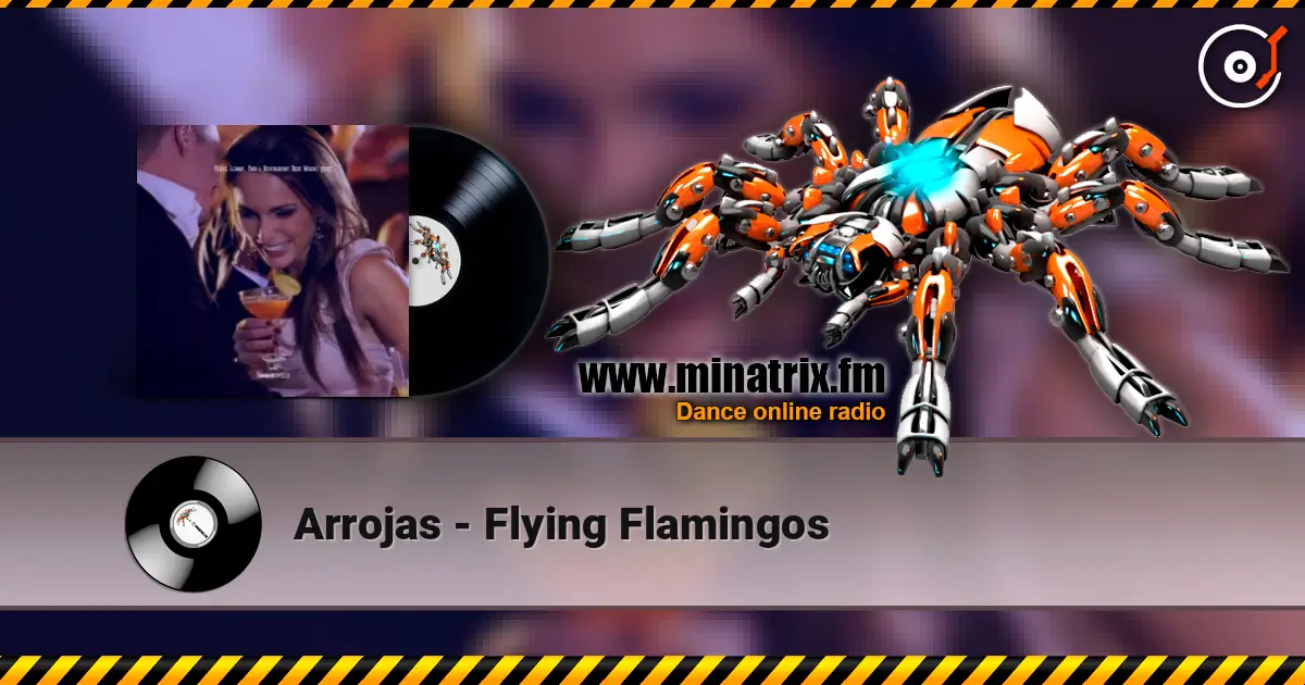 Arrojas - Flying Flamingos escuchar online en alta calidad | Minatrix.FM