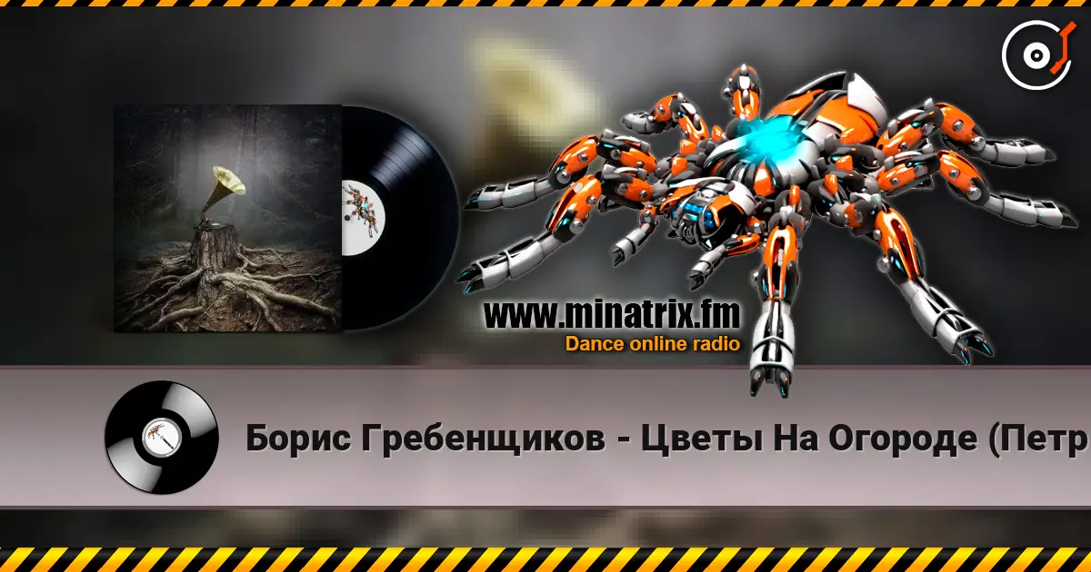 Борис Гребенщиков - Цветы На Огороде (Петр Мамонов) escuchar online en alta calidad | Minatrix.FM
