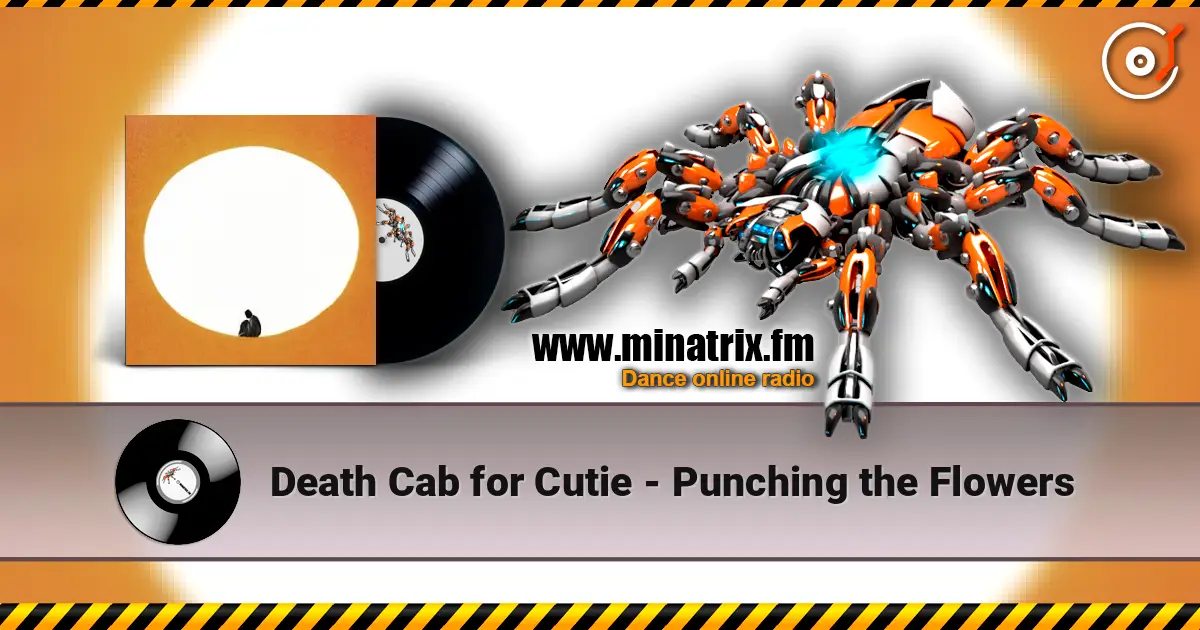 Death Cab for Cutie - Punching the Flowers escuchar online en alta calidad | Minatrix.FM