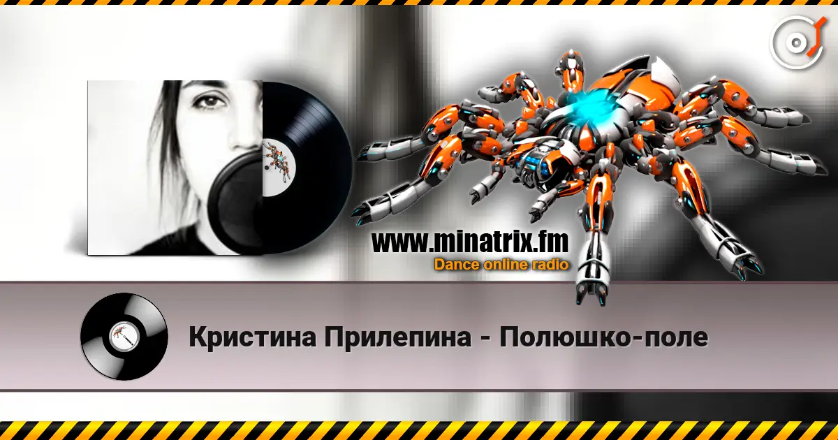Кристина Прилепина - Полюшко-поле escuchar online en alta calidad | Minatrix.FM