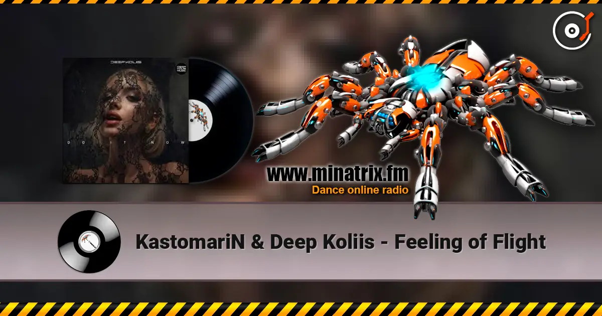 KastomariN & Deep Koliis - Feeling of Flight escuchar online en alta calidad | Minatrix.FM