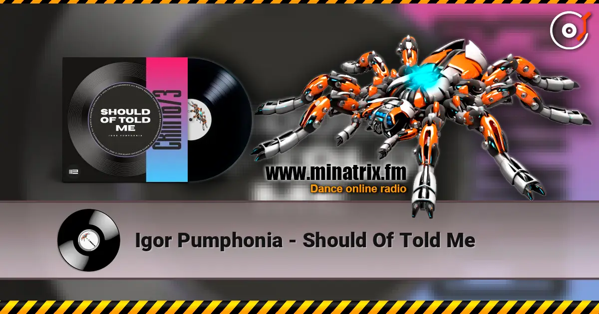 Igor Pumphonia - Should Of Told Me escuchar online en alta calidad | Minatrix.FM