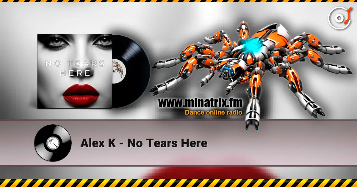 Alex K - No Tears Here escuchar online en alta calidad | Minatrix.FM