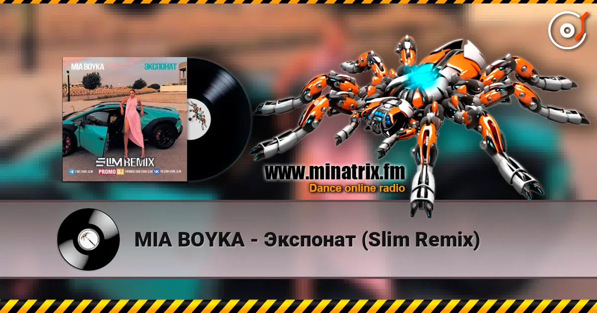 MIA BOYKA - Экспонат (Slim Remix) escuchar online en alta calidad | Minatrix.FM