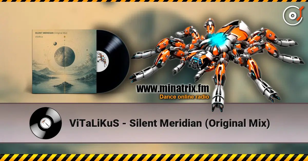 ViTaLiKuS - Silent Meridian (Original Mix) escuchar online en alta calidad | Minatrix.FM