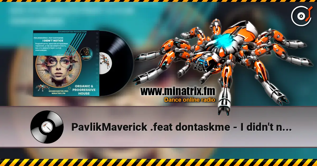 PavlikMaverick .feat dontaskme - I didn't notice escuchar online en alta calidad | Minatrix.FM