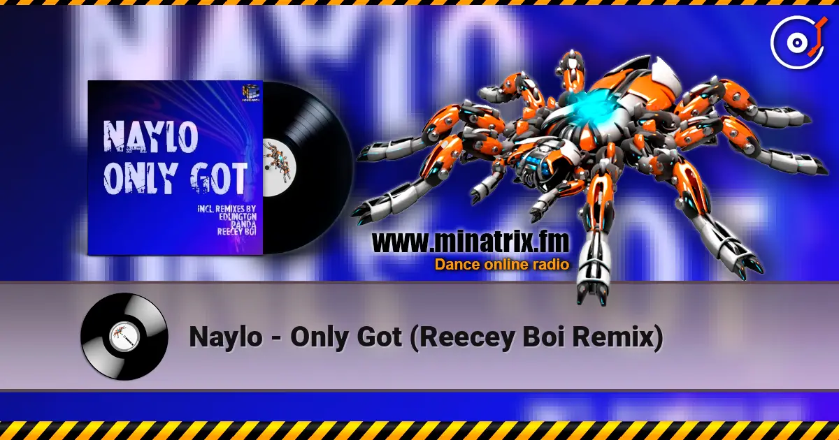 Naylo - Only Got (Reecey Boi Remix) escuchar online en alta calidad | Minatrix.FM