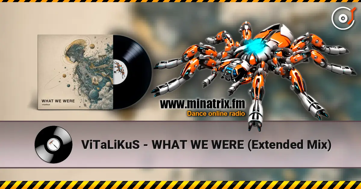 ViTaLiKuS - WHAT WE WERE (Extended Mix) escuchar online en alta calidad | Minatrix.FM