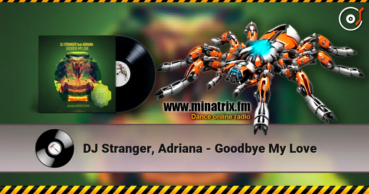 DJ Stranger, Adriana - Goodbye My Love escuchar online en alta calidad | Minatrix.FM