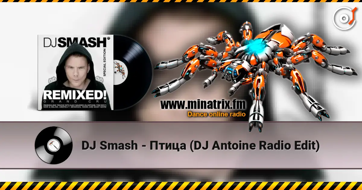 DJ Smash - Птица (DJ Antoine Radio Edit) escuchar online en alta calidad | Minatrix.FM