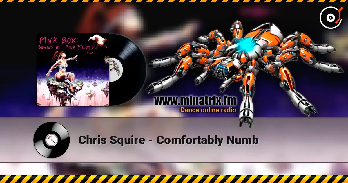 Chris Squire - Comfortably Numb escuchar online en alta calidad | Minatrix.FM