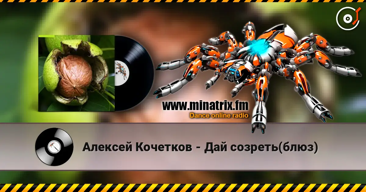 Алексей Кочетков - Дай созреть(блюз) escuchar online en alta calidad | Minatrix.FM