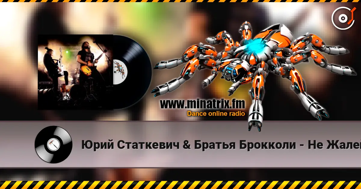 Юрий Статкевич & Братья Брокколи - Не Жалей listen online in high quality | Minatrix.FM