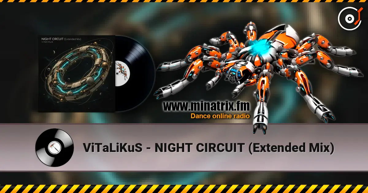 ViTaLiKuS - NIGHT CIRCUIT (Extended Mix) escuchar online en alta calidad | Minatrix.FM