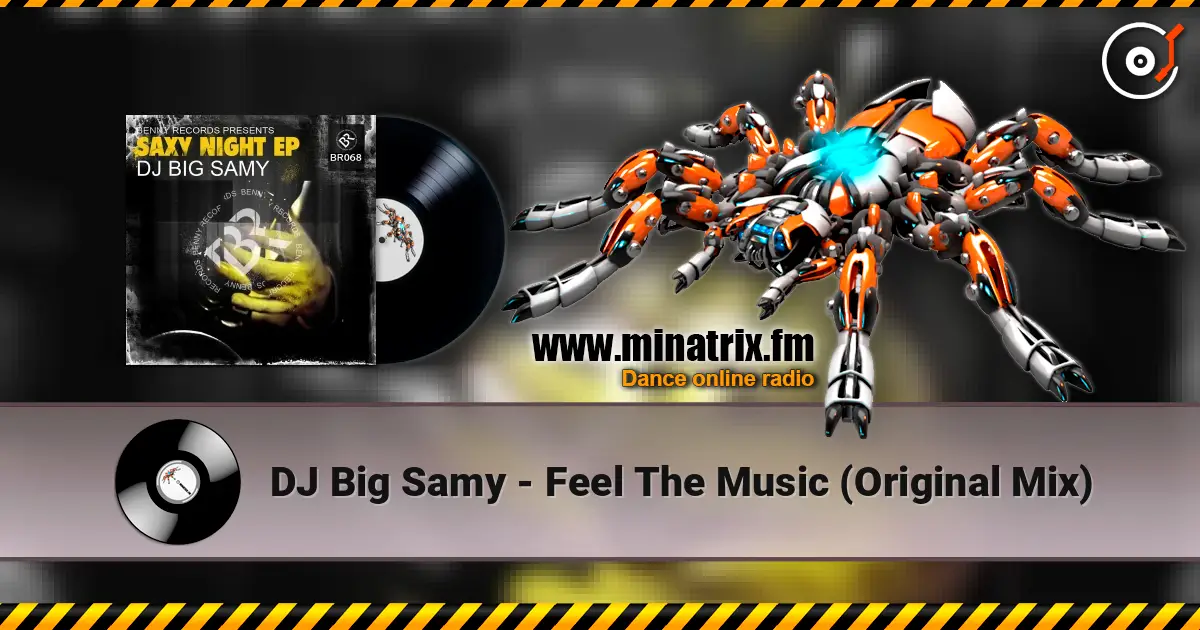 DJ Big Samy - Feel The Music (Original Mix) escuchar online en alta calidad | Minatrix.FM
