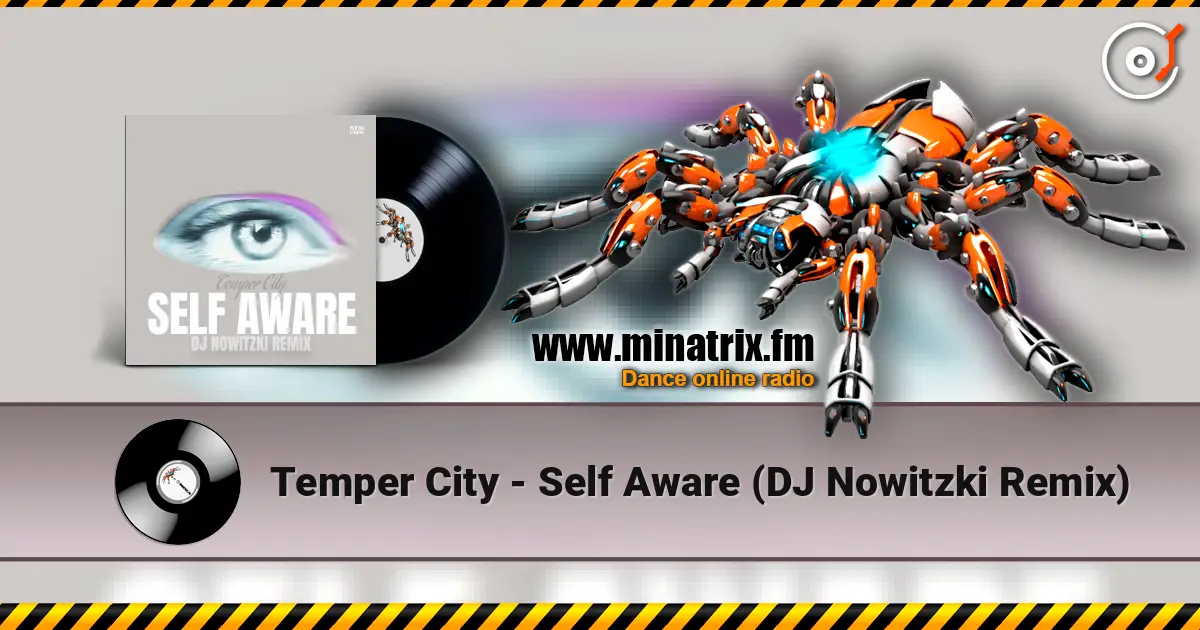 Temper City - Self Aware (DJ Nowitzki Remix) escuchar online en alta calidad | Minatrix.FM