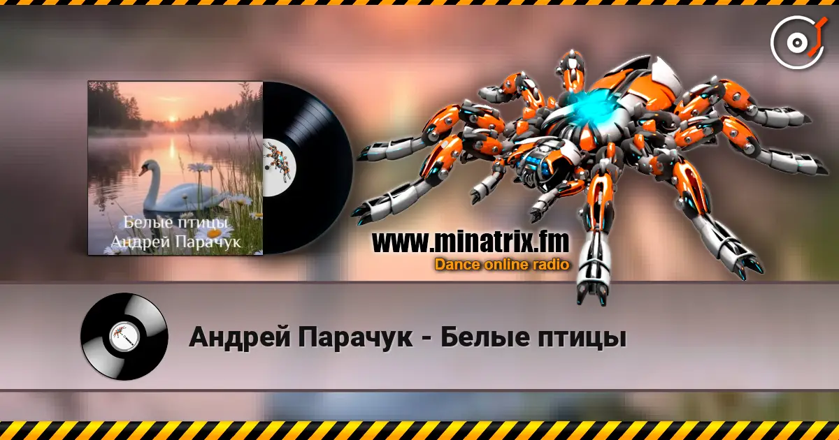 Андрей Парачук - Белые птицы escuchar online en alta calidad | Minatrix.FM