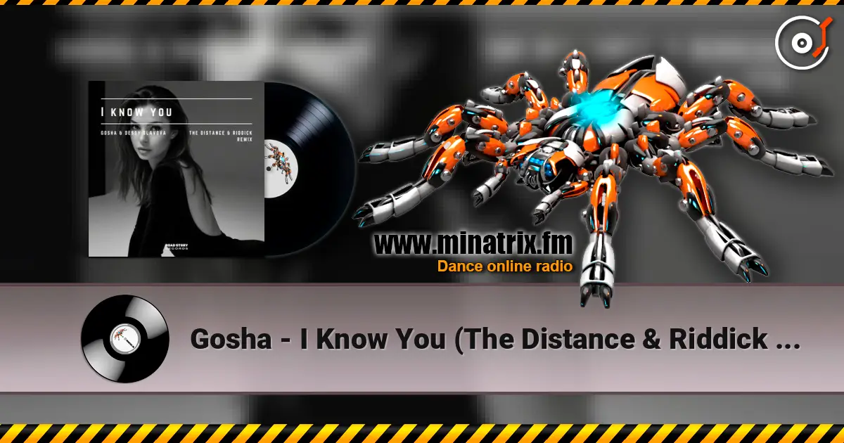 Gosha - I Know You (The Distance & Riddick Remix) escuchar online en alta calidad | Minatrix.FM