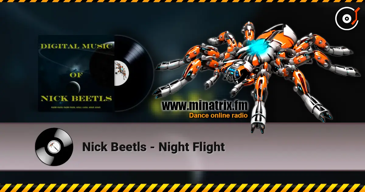 Nick Beetls - Night Flight escuchar online en alta calidad | Minatrix.FM